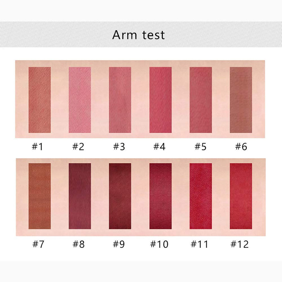 Becoler 12PCS Matte Velvet Lipsticks Impermeable Pluma Hidratante Larga duración Brillo de Labios Maquillaje de Pluma